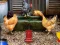 Гульня Poultry Farm Easter Escape онлайн