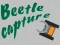 Гульня Beetle Capture онлайн