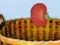 Гульня Harvesting онлайн