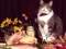 Гульня Funny Cats Puzzle онлайн