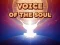 Гульня Voice Of The Soul онлайн