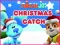 Гульня Nick Jr. Christmas Catch онлайн