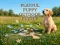 Гульня Playful Puppy Outdoor Puzzle онлайн