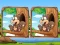 Гульня Jungle 5 Diffs онлайн