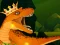 Гульня The Dino King онлайн