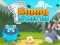 Гульня Bunny Storm онлайн