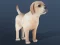 Гульня IDLE Pet онлайн