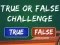 Гульня  True Or False Challenge онлайн