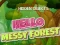 Гульня Hidden Objects Hello Messy Forest онлайн