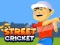 Гульня Street Cricket онлайн