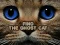 Гульня Find the Ghost Cat онлайн