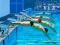 Гульня Swimming Pool Race онлайн