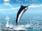 Гульня Azure Sea Fishing онлайн