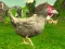 Гульня Chicken Shooter онлайн