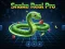 Гульня Snake Real Pro онлайн