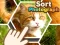 Гульня Sort Photograph онлайн