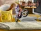 Гульня Bike Mania 4 Micro Office онлайн