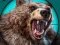 Гульня Wild Bear Hunting онлайн