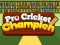 Гульня Pro Cricket Champion онлайн