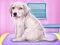 Гульня Labrador at the doctor salon онлайн