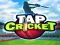 Гульня Tap Cricket онлайн