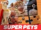 Гульня DC League of Super Pets Jigsaw Puzzle онлайн