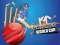 Гульня Cricket World Cup Game онлайн