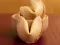 Гульня Fortune Cookies онлайн