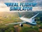Гульня Real Flight Simulator онлайн