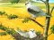 Гульня Birds Of Prey Puzzle онлайн