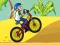 Гульня BMX Boy Online онлайн