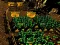 Гульня Pixel Farm онлайн