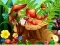 Гульня Hidden Objects Insects онлайн