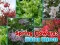 Гульня Spring Flowers: Hidden Objects онлайн