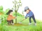 Гульня Arbor Day Puzzle онлайн
