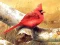 Гульня Art Birds Puzzle онлайн