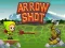 Гульня Arrow Shoot онлайн
