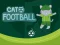 Гульня Cat Football онлайн