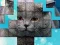 Гульня PicPu Cat онлайн