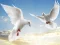Гульня Flying Birds онлайн