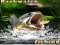 Гульня Backwater Fishing онлайн