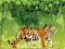 Гульня Angry Tiger Coloring онлайн
