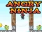 Гульня Angry Ninja онлайн