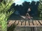 Гульня Bike Trial Xtreme Forest онлайн