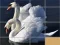 Гульня Animals Slide Puzzle онлайн