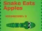 Гульня Snake Eats Apples онлайн
