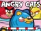 Гульня Angry Cats онлайн