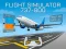 Гульня Flight Simulator 737-800 онлайн
