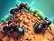 Гульня Ant Colony онлайн