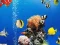 Гульня Sea Underwater Difference онлайн